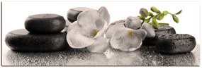 Obraz na plátne - Lávové kamene a  kvety - panoráma 563FA (105x35 cm)