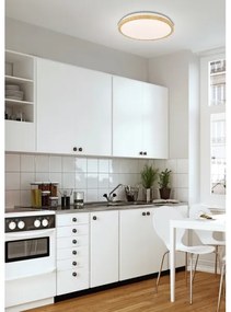 LED Stropné svietidlo GANDAVA LED/24W/230V