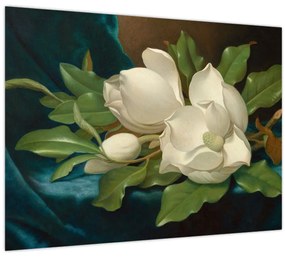 Sklenený obraz - Martin Johnson Heade, Giant Magnolias on a Blue Velvet Cloth, reprodukcia (70x50 cm)