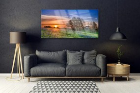 Obraz plexi Lúka slnko krajina 120x60 cm