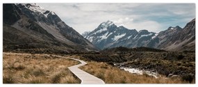 Obraz - Chodník v údolí hory Mt. Cook (120x50 cm)