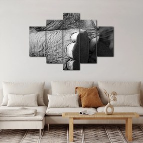 Obraz - Slonia noha (150x105 cm)