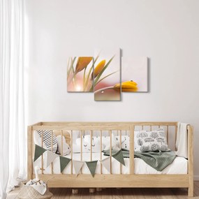 Obraz - Jarné kvety (90x60 cm)