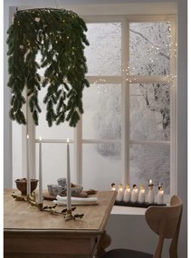 Svetelná reťaz počet žiaroviek 8 ks na baterky dĺžka 175 cm Angela – Star Trading