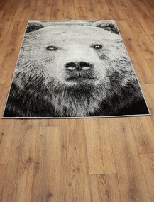 Koberec Kolibri 11365/190 rozmery koberec: 120x170 cm