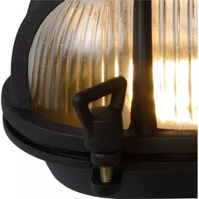 Lucide 11891/20/30 - Vonkajšie nástenné svietidlo DUDLEY 1xE27/40W/230V IP65