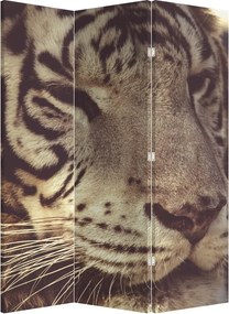 Paraván - Tiger (126x170 cm)
