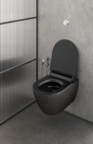 GSI GSI, PURA závesná WC misa, Swirlflush, 36x55cm, blush dual-mat, 881524