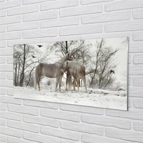 Obraz na akrylátovom skle Zimný lesné jednorožce 100x50 cm