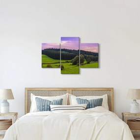 Obraz lúky (90x60 cm)
