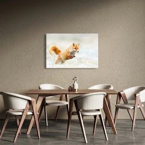 Obraz - Skákajúca líška (90x60 cm)