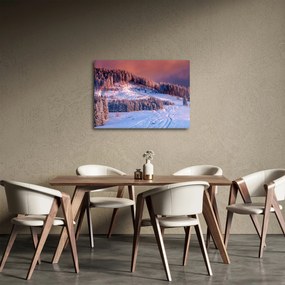 Obraz zimnej krajiny (70x50 cm)