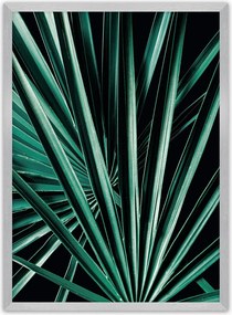 Plagát Dark Palm Tree