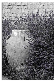 Obraz na plátne - Amfora medzi kríkmi levandule - obdĺžnik 769FA (75x50 cm)