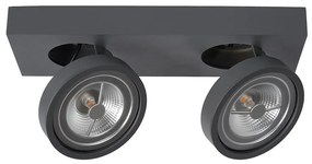Lucide 09920/20/36 - LED Stmievateľné bodové svietidlo NENAD AR111 2xG53/10W/230V