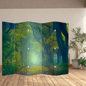Paraván - Cesta lemovaná stromami (210x170 cm)