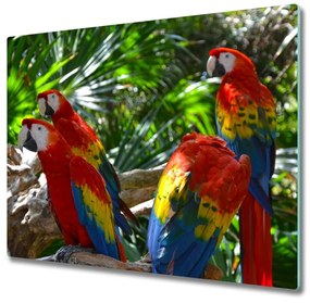 Sklenená doska na krájanie Papagáje papagájov 60x52 cm