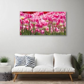 Obraz Canvas Tulipány kvety príroda 140x70 cm