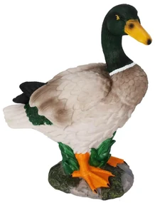 ProGarden Záhradná figúrka z polistone Duck1, 26,5x21 cm, viacfarebná