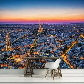 Fototapeta - Paríž (254x184 cm)