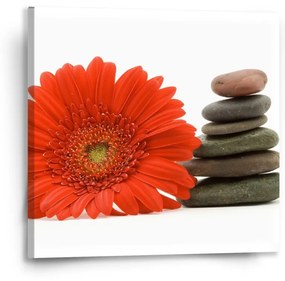 Sablio Obraz Gerbera s kameňmi - 50x50 cm