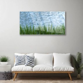 Skleneny obraz Tráva voda príroda 120x60 cm