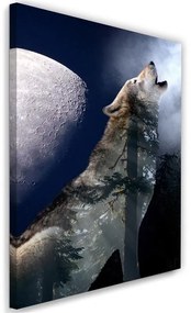 Obraz na plátně Vlk Noc Měsíc Příroda - 60x90 cm