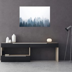 Obraz - Zahmlený les (90x60 cm)