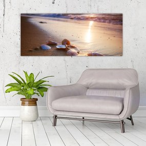 Obraz - Mušle (120x50 cm)