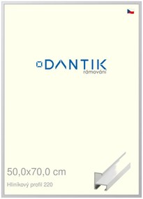 DANTIK rám na obraz 50x70 | ALU Bílá matná (Plexi Čiré)