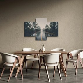 Obraz cesty v daždi (90x60 cm)