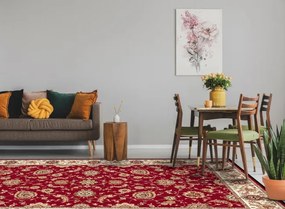 Koberec Agnella Standard Nazar bordový