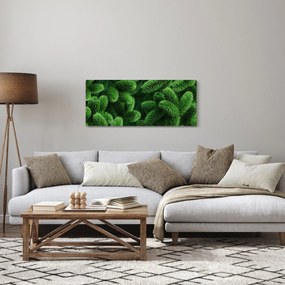Obraz - Vetvičky ihličnanu (120x50 cm)