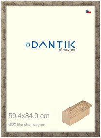 DANTIK rám na obraz 59,4x84 | BOX film champagne (Plexi Čiré)