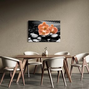 Obraz - Oranžové orchidey (90x60 cm)