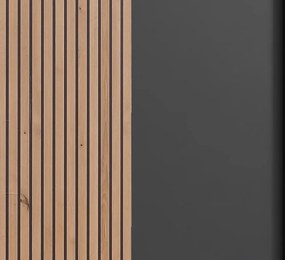 Šatníková skriňa Coburg, 180 cm, grafit/dub artisan