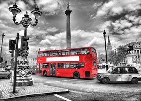 Sklenený obraz - Trafalgar Square (70x50 cm)