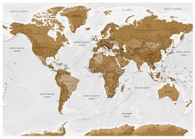 Samolepiaca fototapeta World Map White Oceans
