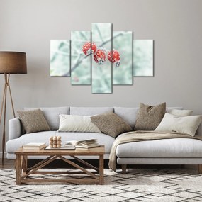 Obraz zmrznutých šípok (150x105 cm)