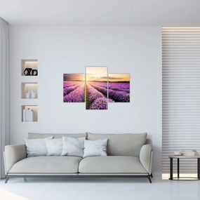 Obraz - Východ slnka v levanduľovom poli (90x60 cm)