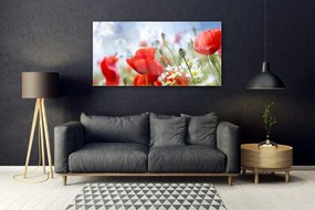 Obraz plexi Maky sedmokrásky kvety 120x60 cm
