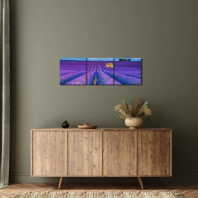 Obraz - Levanduľové pole (s hodinami) (90x30 cm)
