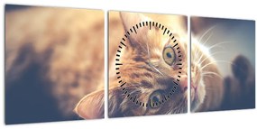 Obraz mačky na podlahe (s hodinami) (90x30 cm)