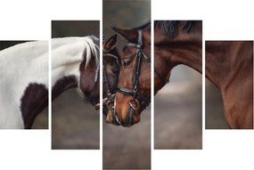 Obraz - Zamilované kone (150x105 cm)