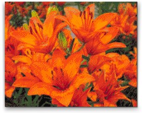 Gario Diamantové maľovanie Oranžové ľalie Rozmery: 50 x 40 cm, Rámovanie: S vnútorným rámom, Diamanty: Štvorcové