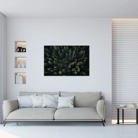 Obraz - Les (90x60 cm)