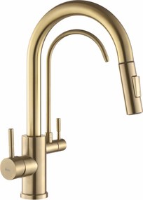 Rea Eco Fresh, drezová batéria s výtokom pre filter pitnej vody, zlatá matná, REA-B7596