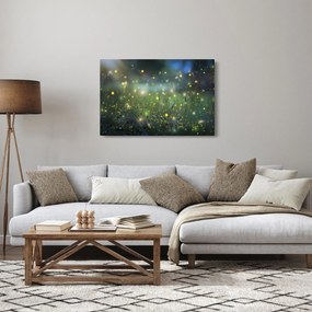 Obraz - Čarovná noc (90x60 cm)