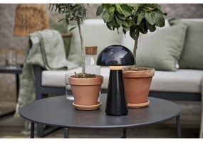 Čierna LED stolová lampa so stmievačom (výška 28 cm) Mushroom – Star Trading