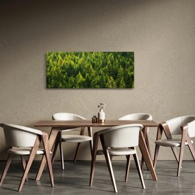 Obraz - Hustý les (120x50 cm)